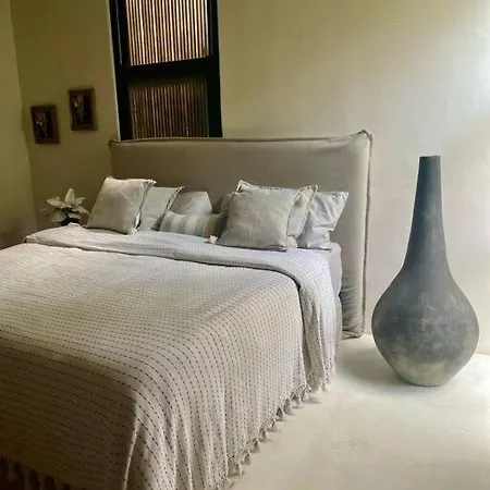 Apartment Tribu 202