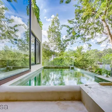 Apartment Loft With Private Pool At La Veleta! Tulum