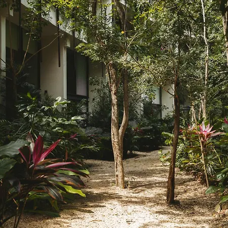 Luxury Loft With Pools, Gym, Rooftop And Panoramic Jungle Views