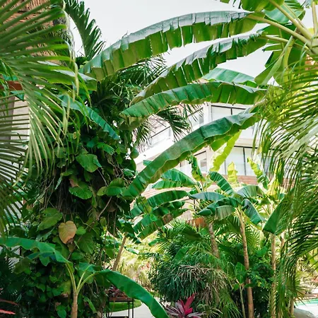 Kinah Retreat - Exclusive Boho Tropical Escape * Tulum