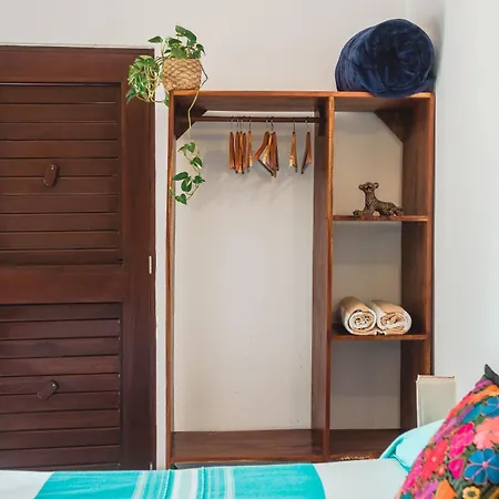 Casa Colibri Tankah Bed & Breakfast Tulum