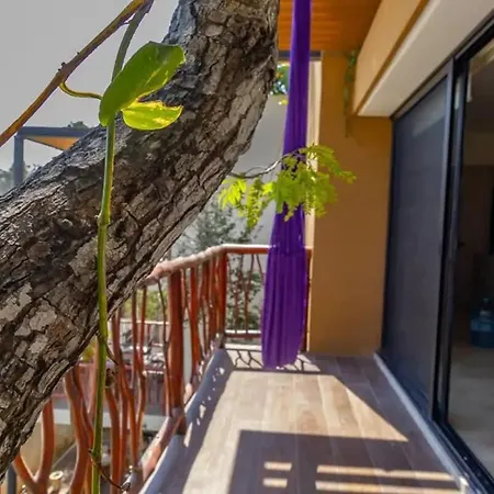 Maranay 2 Story 3br Penthouse In La Veleta Tulum