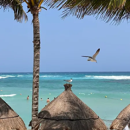Golf & Haven * Tulum