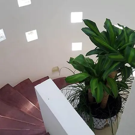 Casa Nash Homestay Tulum