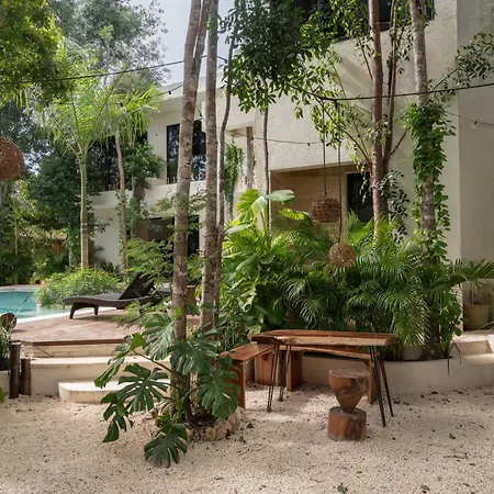 Casa Chen Xen Luxury Design With Cocnierge Tulum