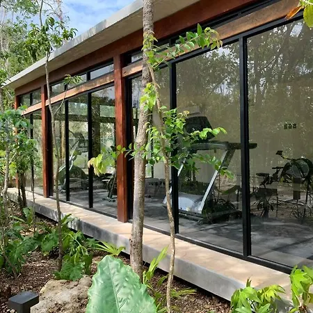 Amazing House With Private Pool, 3 Bedrooms For 8 Tulum