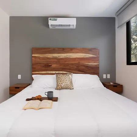 2 Bd With Private Plunge Pool And Terrace Holiday home Tulum