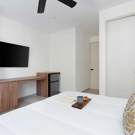 2 Bd With Private Plunge Pool And Terrace Holiday home *