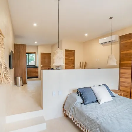 Brandnewstudio/exterior Tub/tulum Jungle