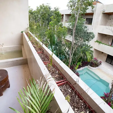 Brandnewstudio/exterior Tub/tulum Jungle Tulum