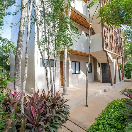 Apartment Brandnewstudio/exterior Tub/tulum Jungle