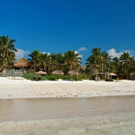 Lodge Playa Selva *