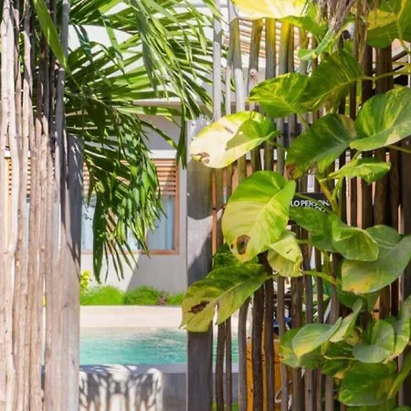 Hostel Dona Lucha Tulum