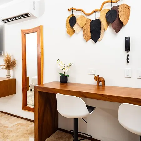 Apartment Menesse - Magnific Studio