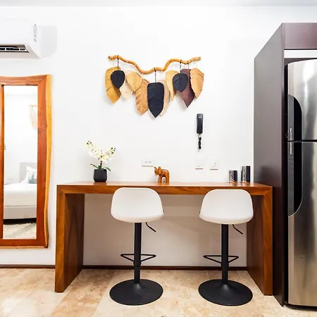 Apartment Menesse - Magnific Studio *