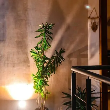 Bonito Departamento Tulum
