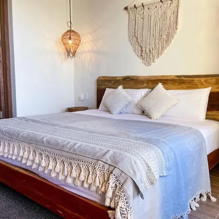 Apartment Large Studio Downtown With Pool. Enjoy The Local Vibe *