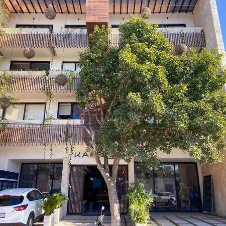 Large Studio Downtown With Pool. Enjoy The Local Vibe