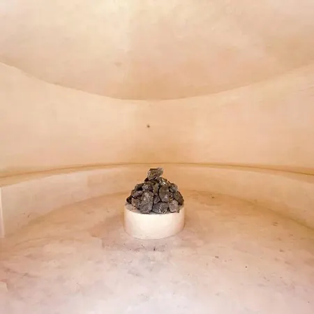 Large Jungle Studio With Premium Amenities