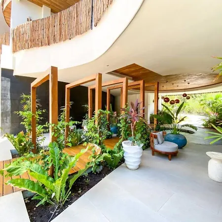 Large Jungle Studio With Premium Amenities