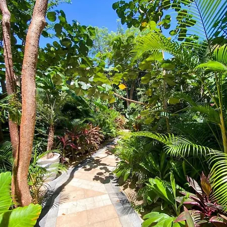 Large Jungle Studio With Premium Amenities