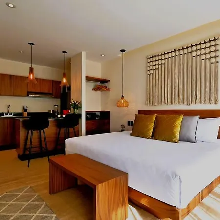 Hyde 104 Enjoy Private Plunge Pool+2 Free Bike+gym+roof * Tulum