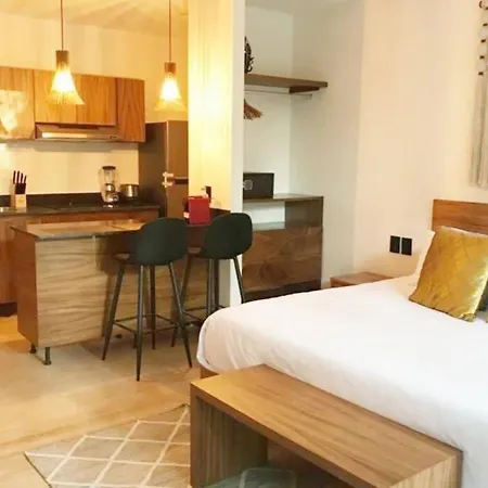 Hyde 104 Enjoy Private Plunge Pool+2 Free Bike+gym+roof Apartment *