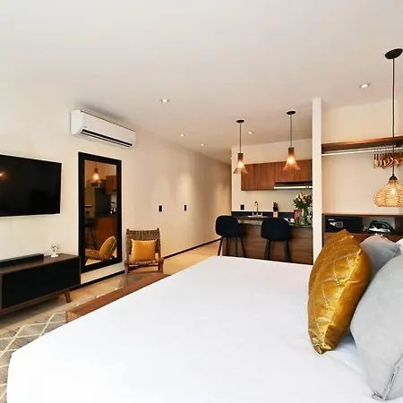 Hyde 104 Enjoy Private Plunge Pool+2 Free Bike+gym+roof * Tulum