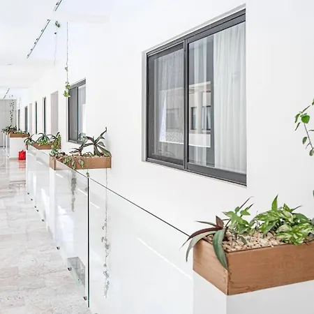 Yani 1 Bedroom At Brava Aldea Zama Apartment