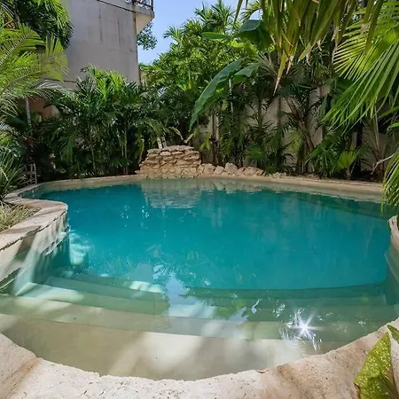 Apartment 2brprivate Pool/local Vibe & Tuluminati Atmosphere *