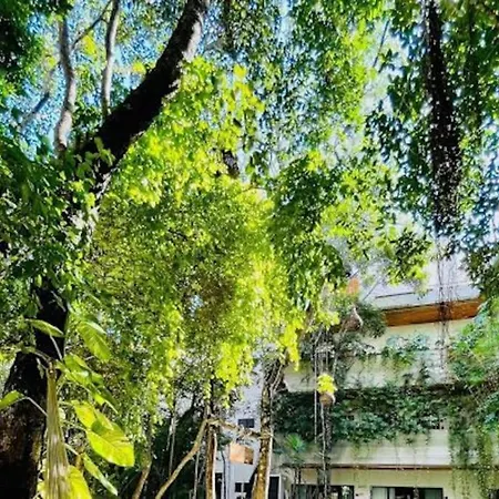 Apartment Penthouse Familiar Con Alberca