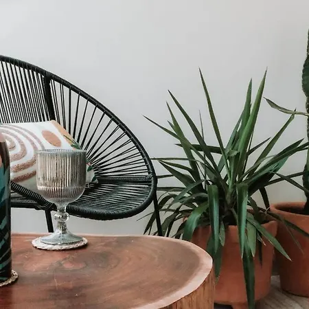 Apartment Jungle With Ocean View Rooftop Pool & Gym