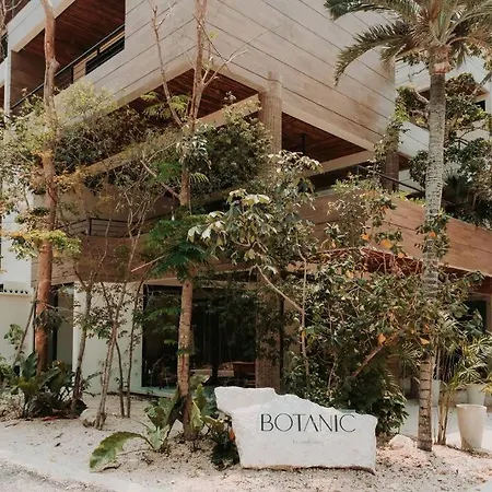 Jungle With Ocean View Rooftop Pool & Gym Apartment