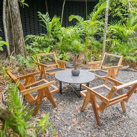 Nature Surrounded Studio With Private Plunge Pool Apartment Tulum