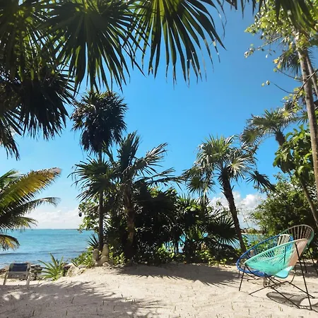 105 With 6 Bedroom In Tulum, Mexico * Tulum