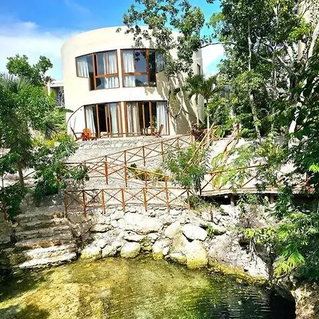 Apartment Amazing Luxury Studiojungle Enviroment With Cenote