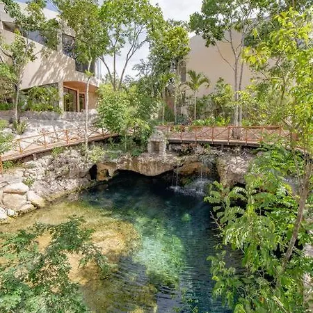 Amazing Luxury Studiojungle Enviroment With Cenote Apartment