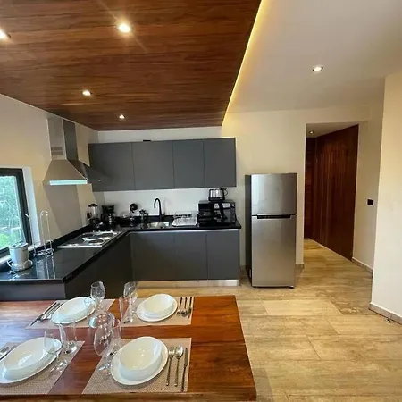 Basico Y Bonito Departamento Con Jacuzzi Privado Apartment Tulum