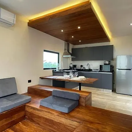 Basico Y Bonito Departamento Con Jacuzzi Privado Tulum