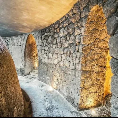 5 Star Luxury With Infinity And Cenote Pools