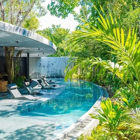 5 Star Luxury With Infinity And Cenote Pools