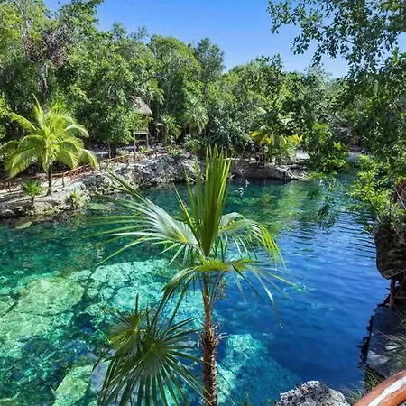 5 Star Luxury Cenote And Infinity Pool Apartment Tulum