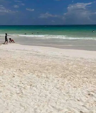 New 5 Star Luxury Private Pool Cenote Pool Tulum