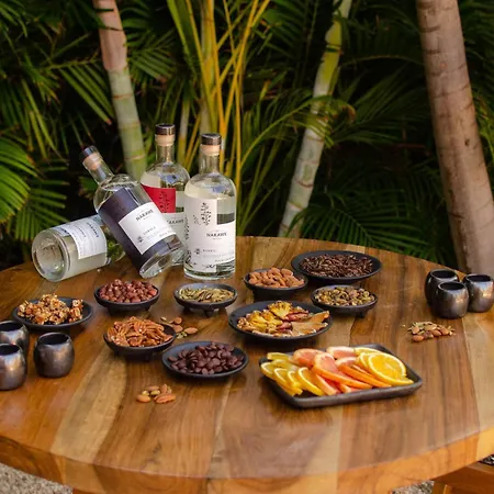 Hotel Radhoo (adults Only) Tulum