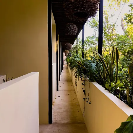 Apartment Penthouse Kuukum