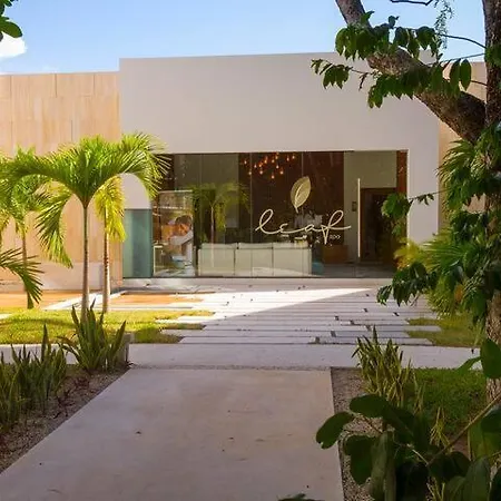 Park 103 Estudio 50 Mgb E Increibles Amenidades En * Tulum
