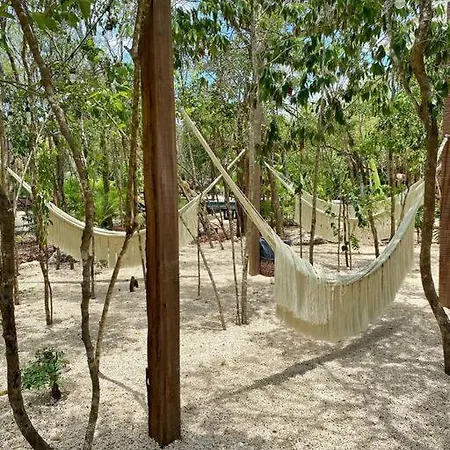 Oasis En Tulum! Estudio Amplio Con Albercas Y Gyms