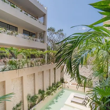 New Beautiful Cozy 1br With Private Pool Apartment Tulum