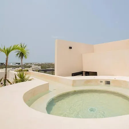 New Beautiful Cozy 1br With Private Pool Apartment