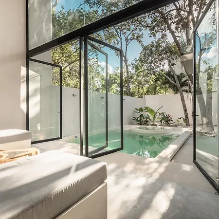 Leto * Tulum